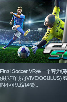 Final Soccer VR-555060