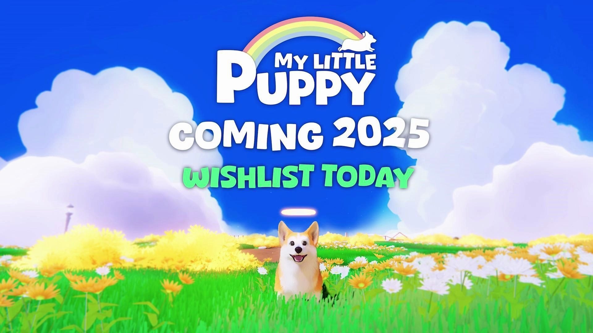 我的小柯基My Little Puppy-2102040