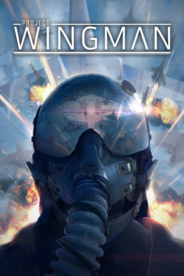 僚机计划Project Wingman-895870