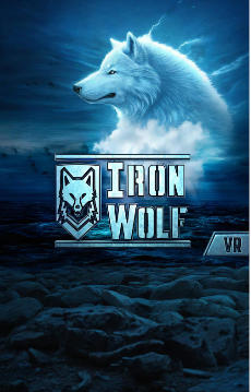 IronWolf: Free Non-VR Edition-2530670