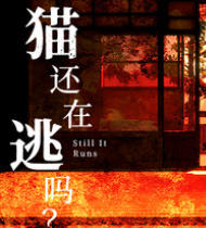 《猫还在逃吗？（Still It Runs）》最新 中文版