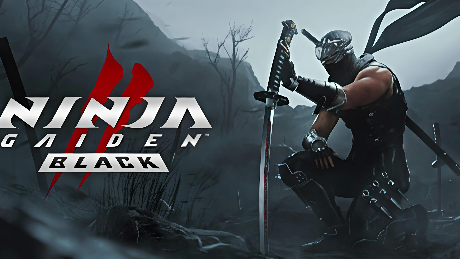 忍者龙剑传2：黑之章NINJA GAIDEN 2 Black