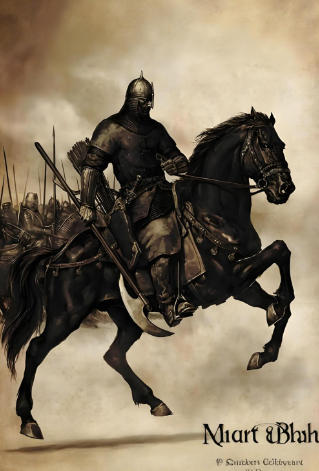 骑马与砍杀Mount & Blade
