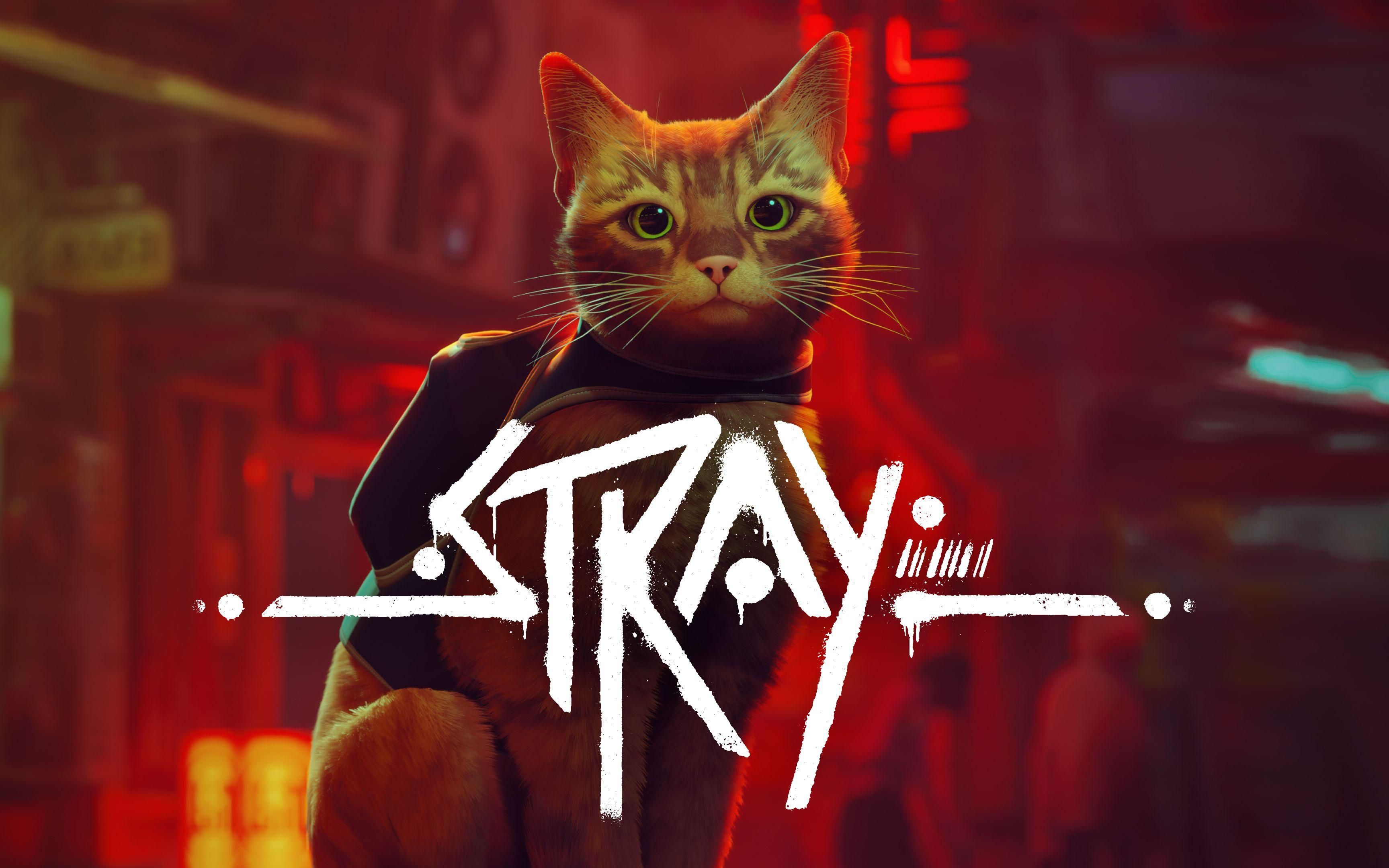 Stray迷失-1332010