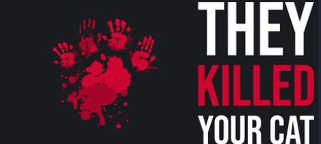 They Killed Your Cat-3489420