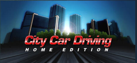 City Car Driving-493490