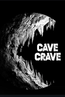 洞穴渴望vr cave crave vr