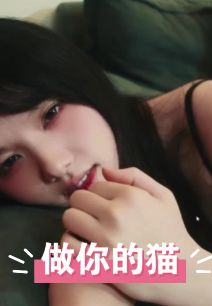 做你的猫