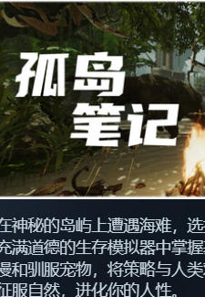 孤岛笔记