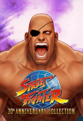 街头霸王30周年纪念合集Street Fighter 30th Anniversary Collection-586200