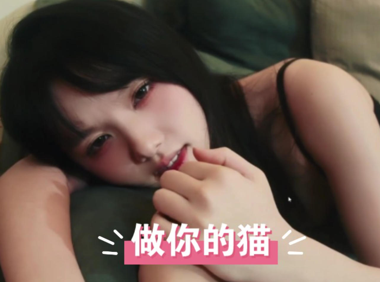 做你的猫